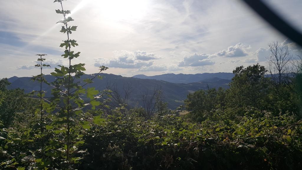 Agriturismo Ca' Di Mazza Monzuno ภายนอก รูปภาพ